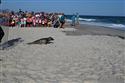 070324-seal-1856-2-2