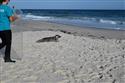 070324-seal-1858-4-4