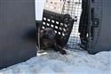 070324-seal-1861-6-6