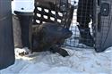 070324-seal-1862-7-7
