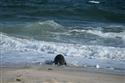 070324-seal-1871-12-12