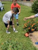 IMG-0485-5
