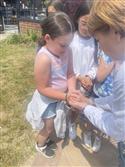 IMG_9584-5