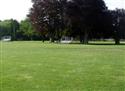 Library-Field-13